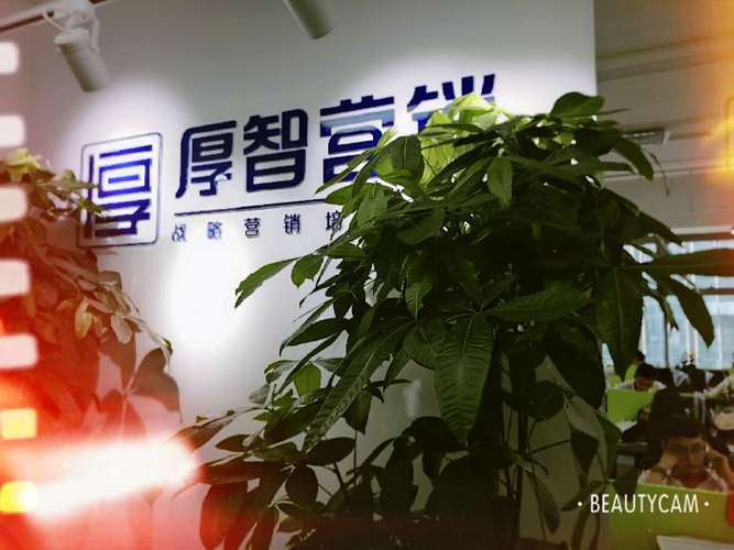 厚智营销企业管理咨询